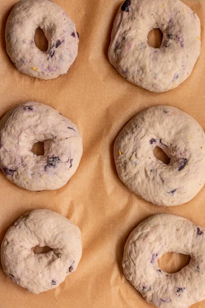 Dough shaped into bagels on a parchment lined baking sheet.